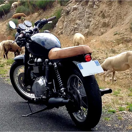 Le Grenier Des Marmottes *